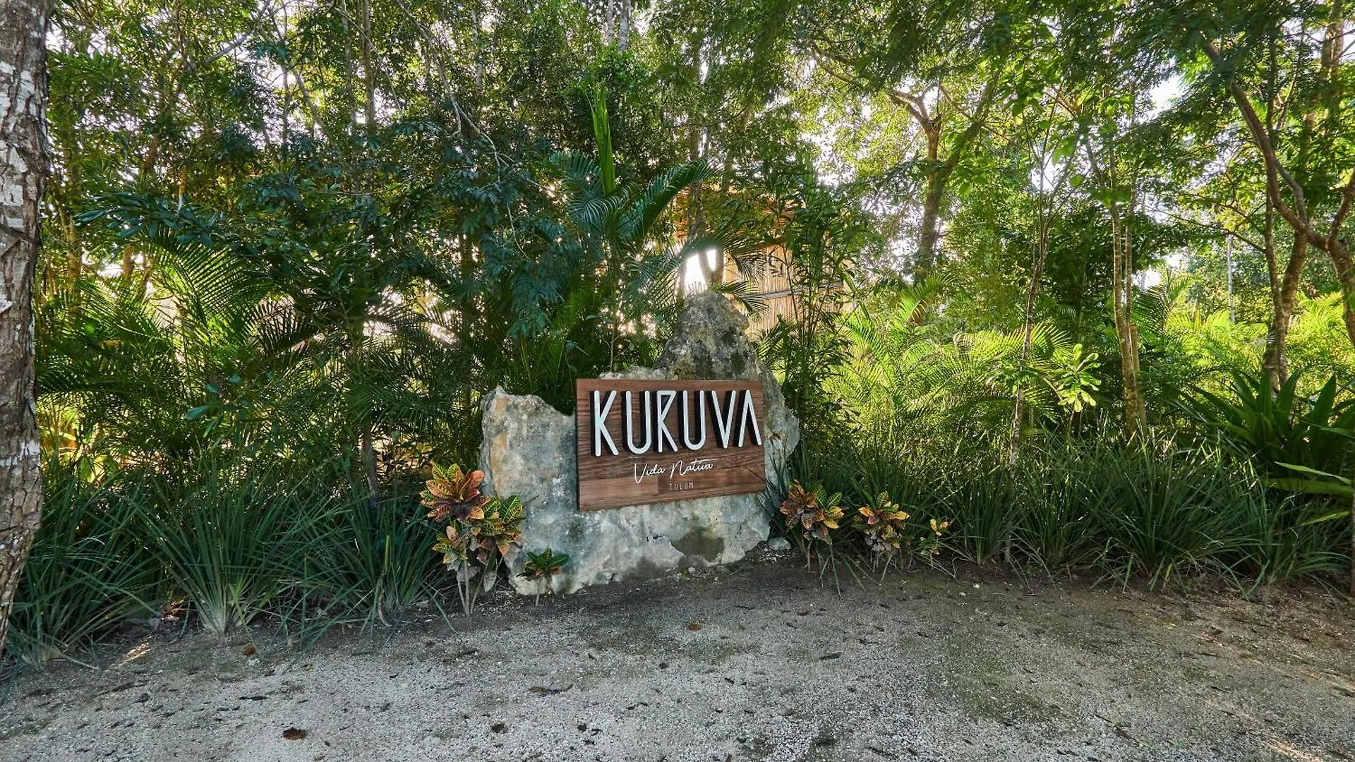 טולום Villa Tortuga Lux 4 Bdr Big Garden*Pool *Cenote 0*,